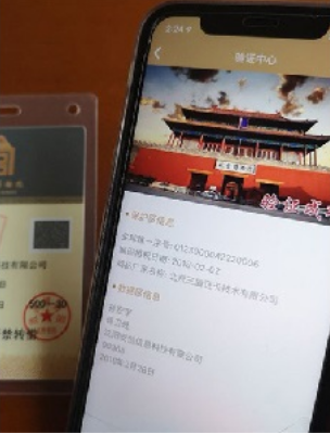 政务及安全